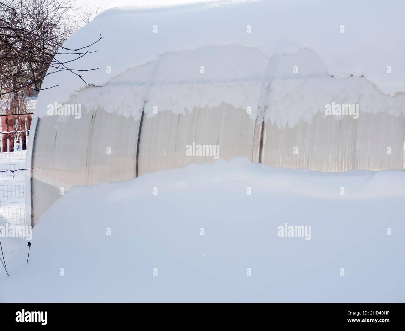 In the winter garden, a small polycarbonate greenhouse is covered with