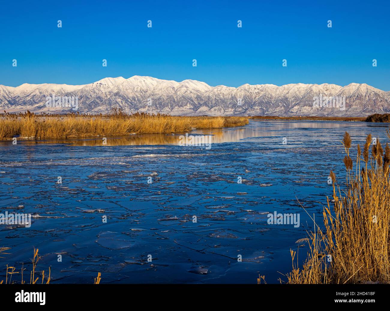 This view looks across the icy Bear River at the Wellsville Mountains from Bear River Migratory Bird Refuge, Brigham City, Box Elder County, Utah, USA. Stock Photo