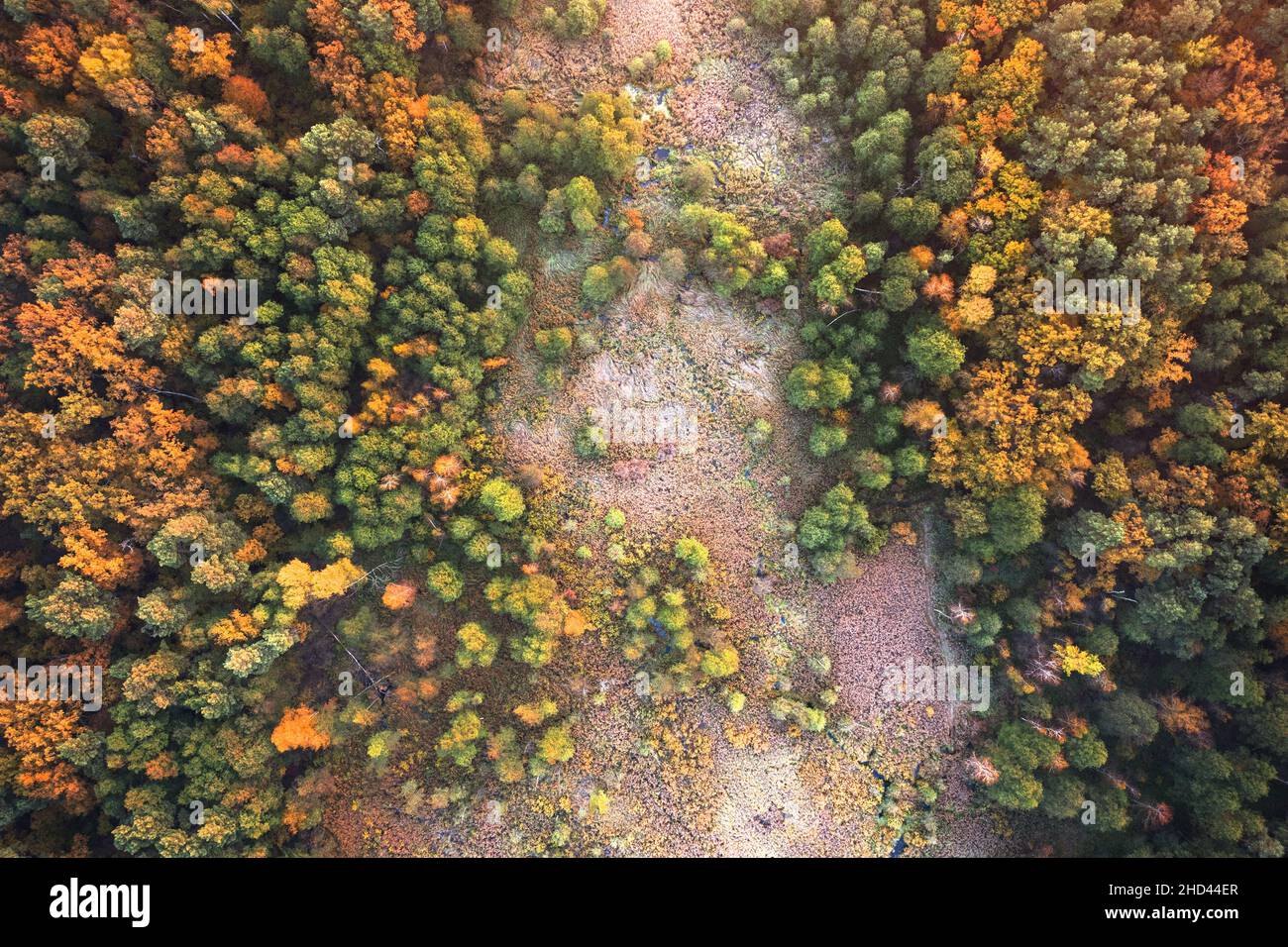Aerial flight overhead autumn tree hi-res stock photography and images ...