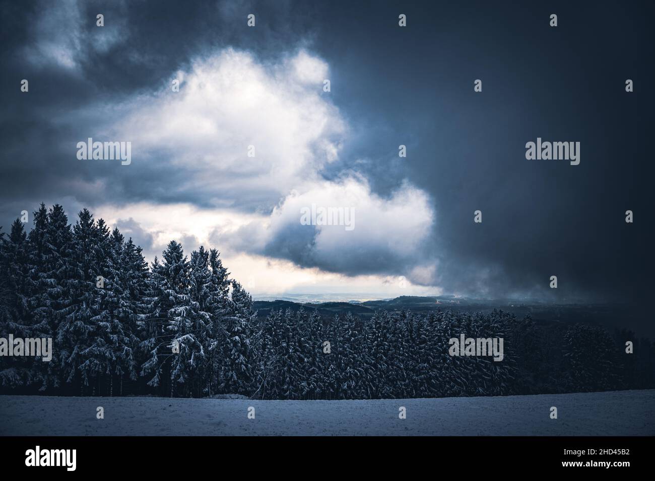 Wald in Bayern im Winter mit blauem Nebel am Abend mit Nebel und Schnee. Stock Photo