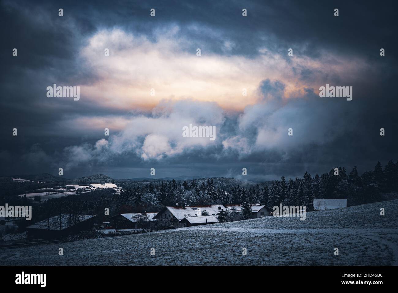 Wald in Bayern im Winter mit blauem Nebel am Abend mit Nebel und Schnee. Stock Photo