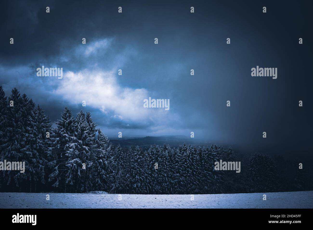 Wald in Bayern im Winter mit blauem Nebel am Abend mit Nebel und Schnee. Stock Photo