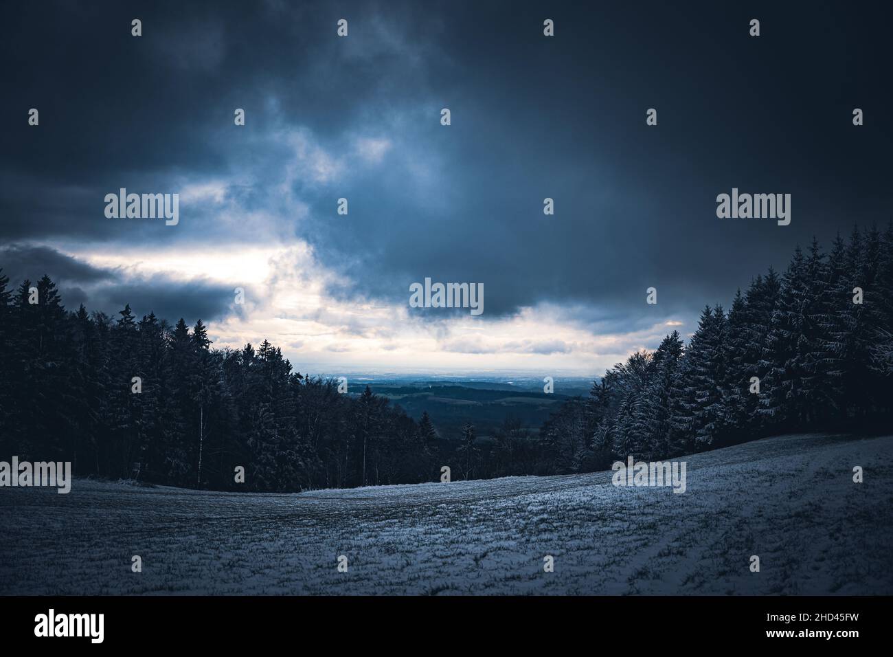 Wald in Bayern im Winter mit blauem Nebel am Abend mit Nebel und Schnee. Stock Photo