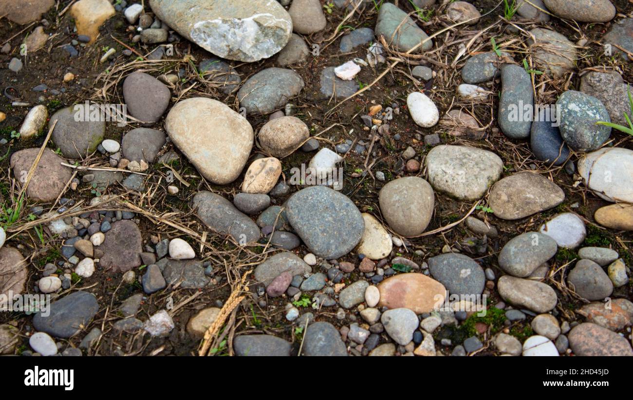 Stony soil texture. Gray dry earth with small stones. View from above. Stock Photo