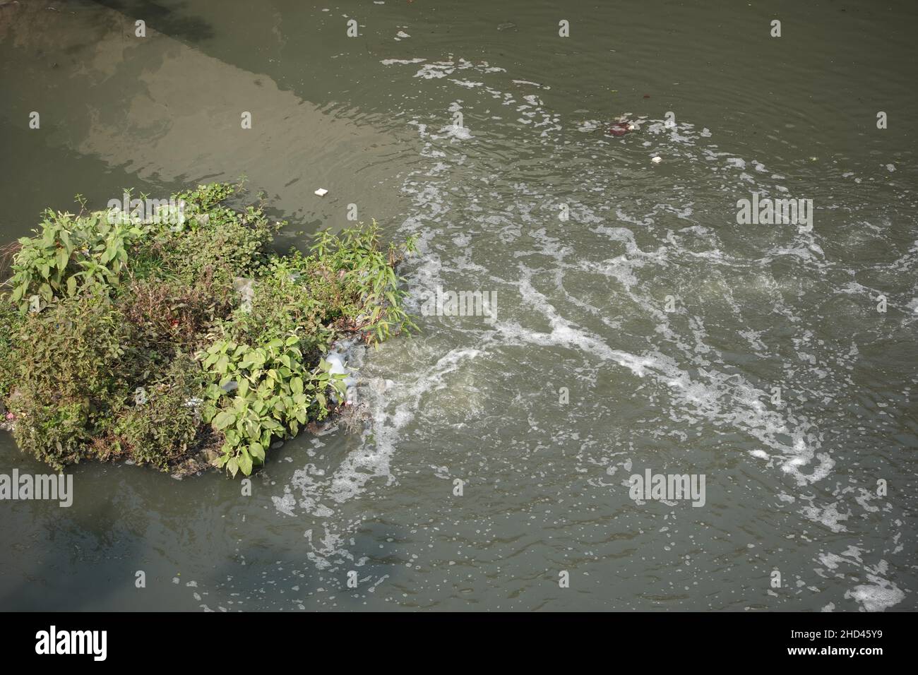 Polution on lake. Dirty water  Stock Photo