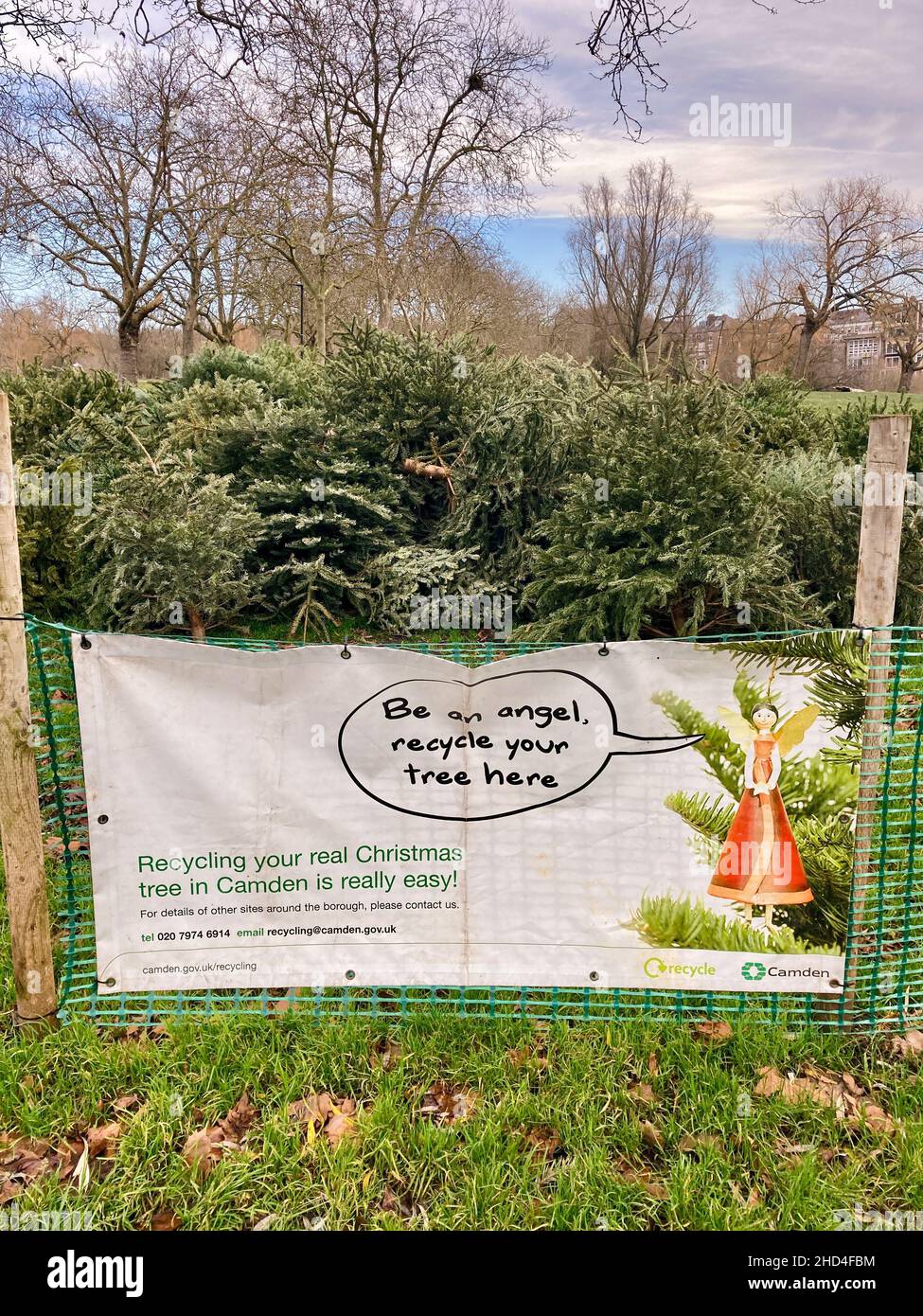 Christmas In Camden 2022 London, 3Rd January, 2022. With Bank Holiday Monday Being The Last Day Of  The Holidays For People Across The Coutnry, Christmas Tree Recycling Begins  In Earnest In The Borough Of Camden. A
