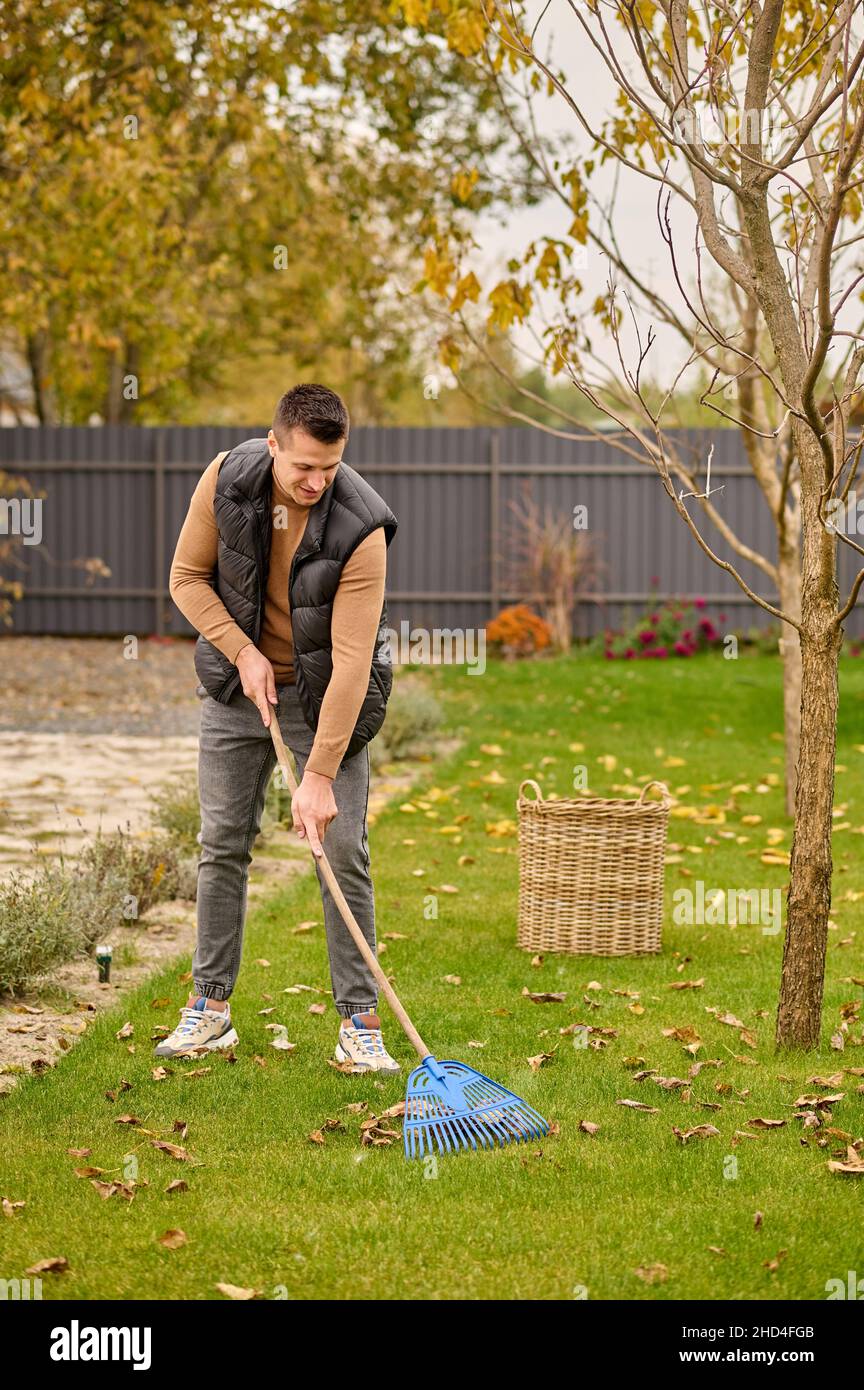 Man raking leaves on lawn in garden Stock Photo Alamy