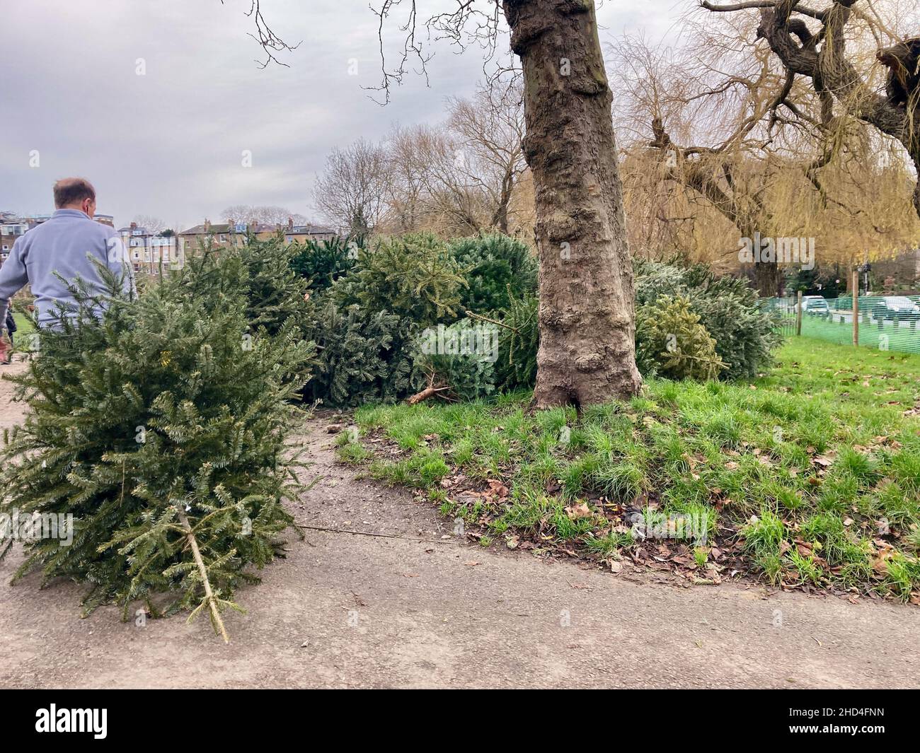 Christmas tree recycling hires stock photography and images Alamy