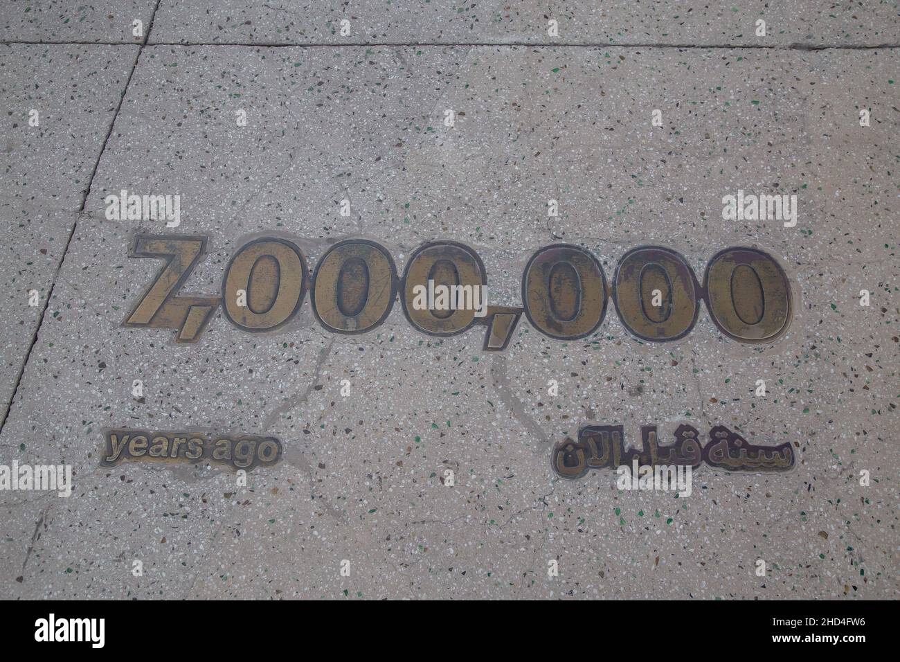 Hi Res Stock Photography And Images Alamy