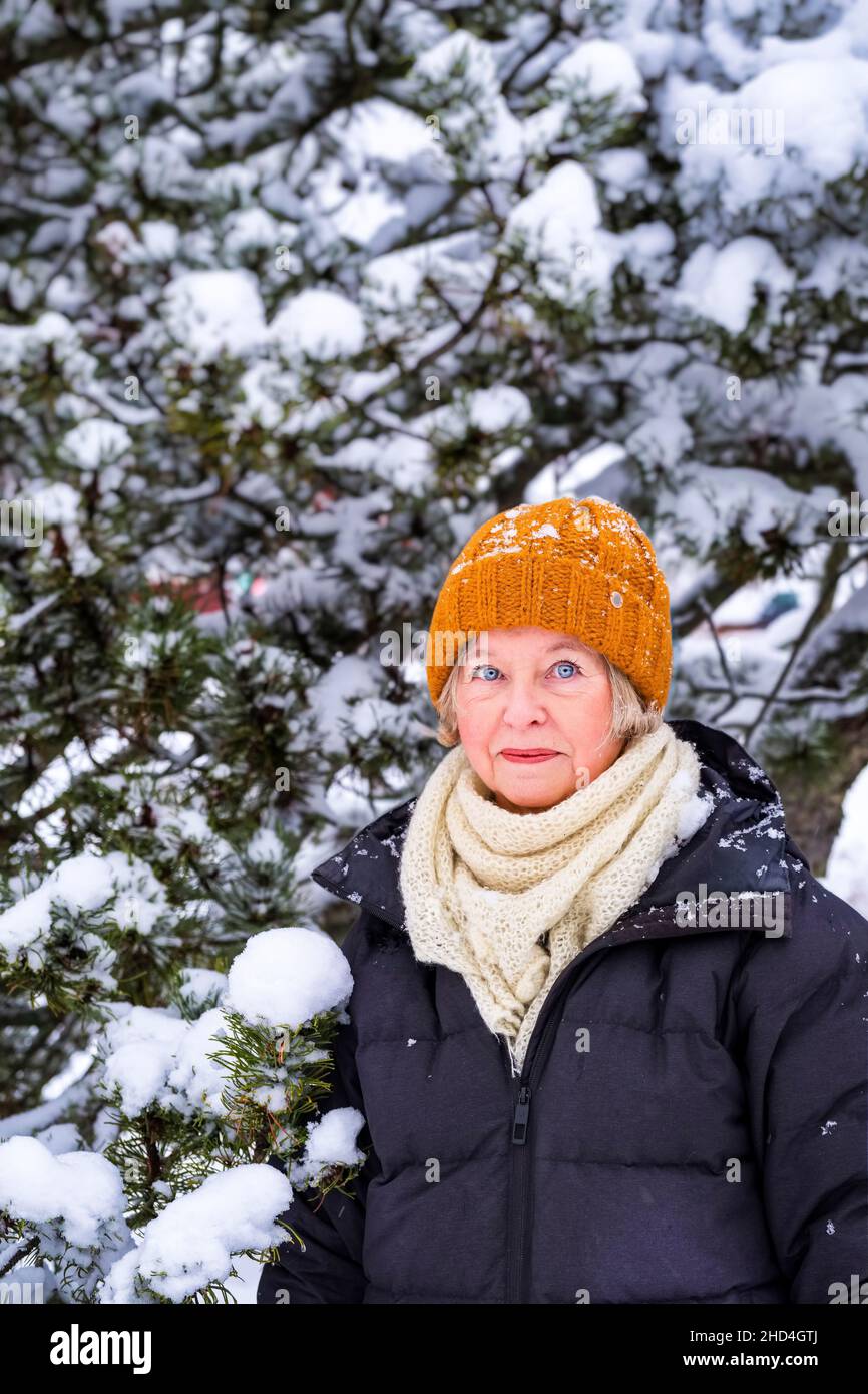 Middle aged woman outdoors in wintertime with snow-covered pine tree Stock Photo