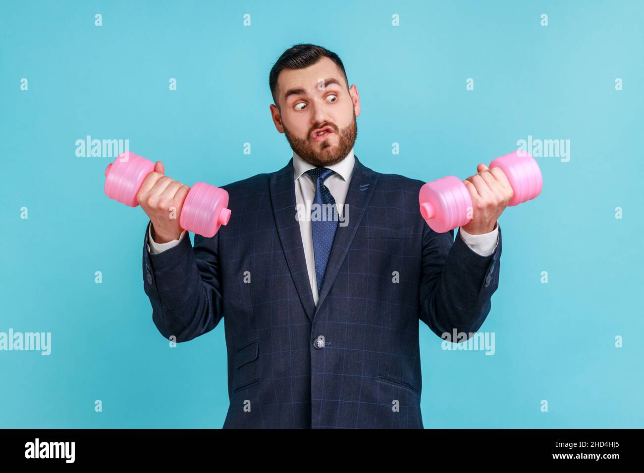 Portrait of funny bearded businessman wearing official style suit, holding in hands pink heavy dumbbells and raising arms, workout in office. Indoor studio shot isolated on blue background. Stock Photo