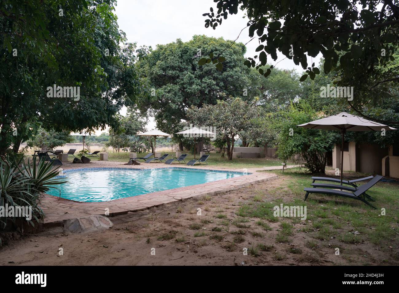 The swimming pool at Flatdogs camp on the edge of South Luangwa National Park, Zambia Stock Photo
