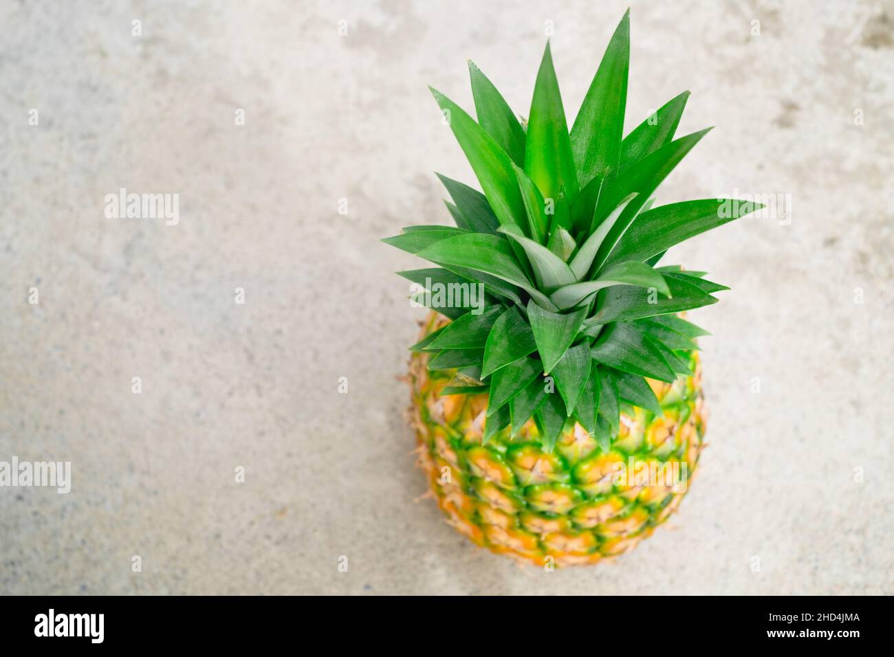 Closeup of freshly picked ripe juicy delicious MG3 variety pineapple fruit which is packed with antioxidant, and aids digestion and weight loss. Stock Photo