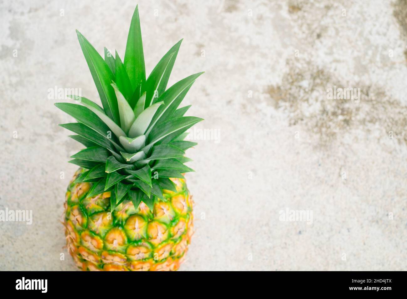 Closeup of freshly picked ripe juicy delicious MG3 variety pineapple fruit which is packed with antioxidant, and aids digestion and weight loss. Stock Photo