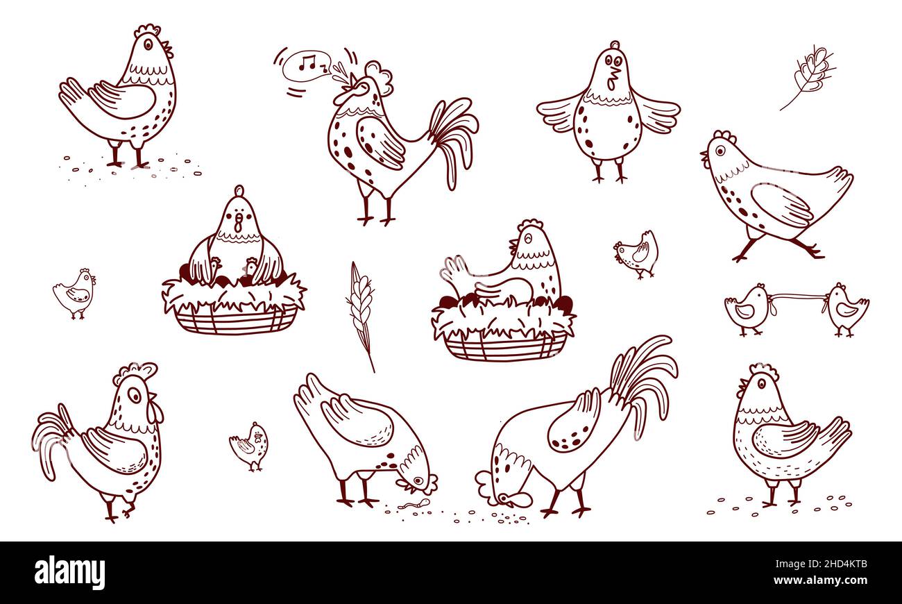 Hand drawn doodle vector domestic birds set Stock Vector Image & Art ...