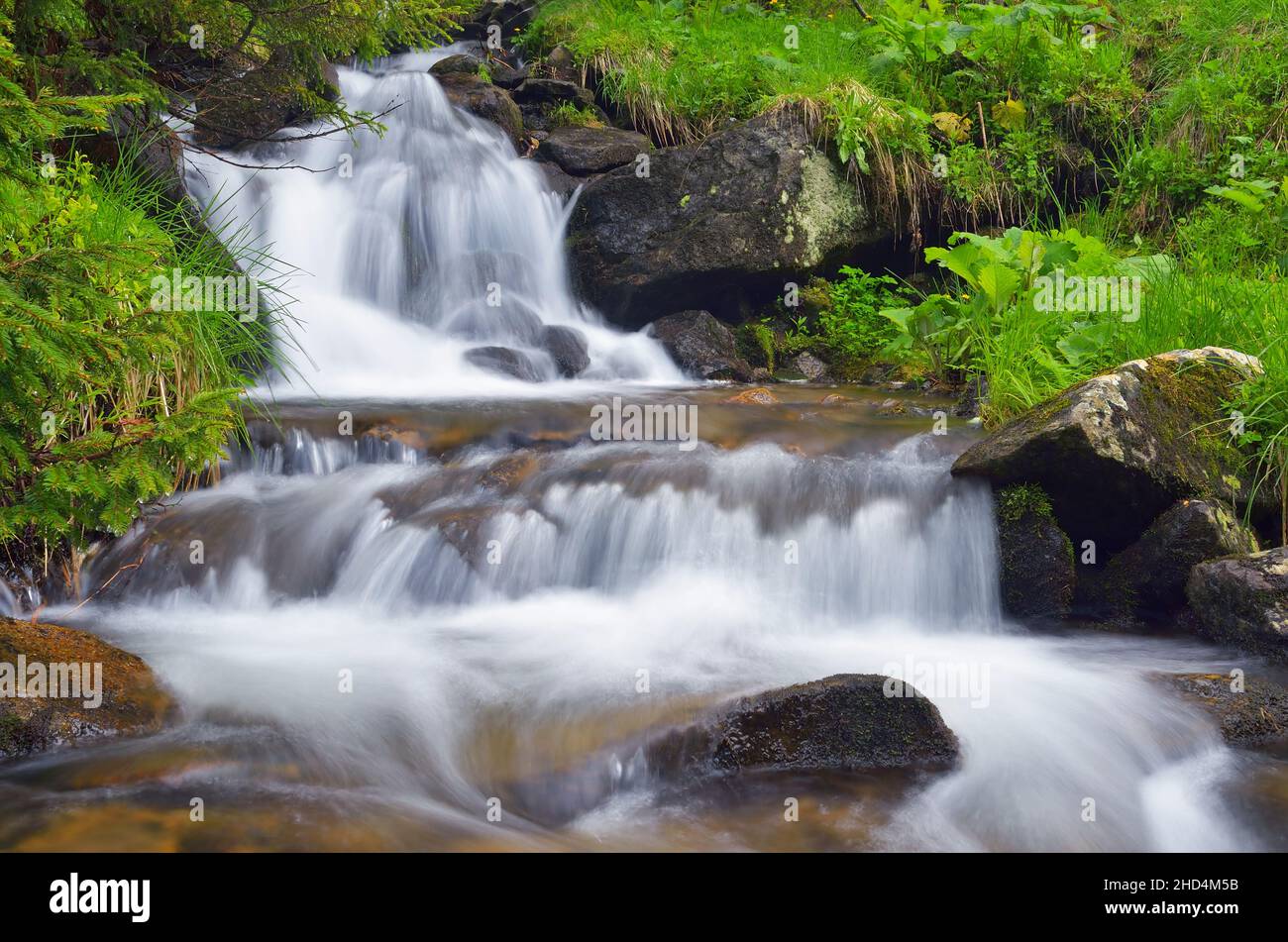 Spring landscape with mountain river Stock Photo