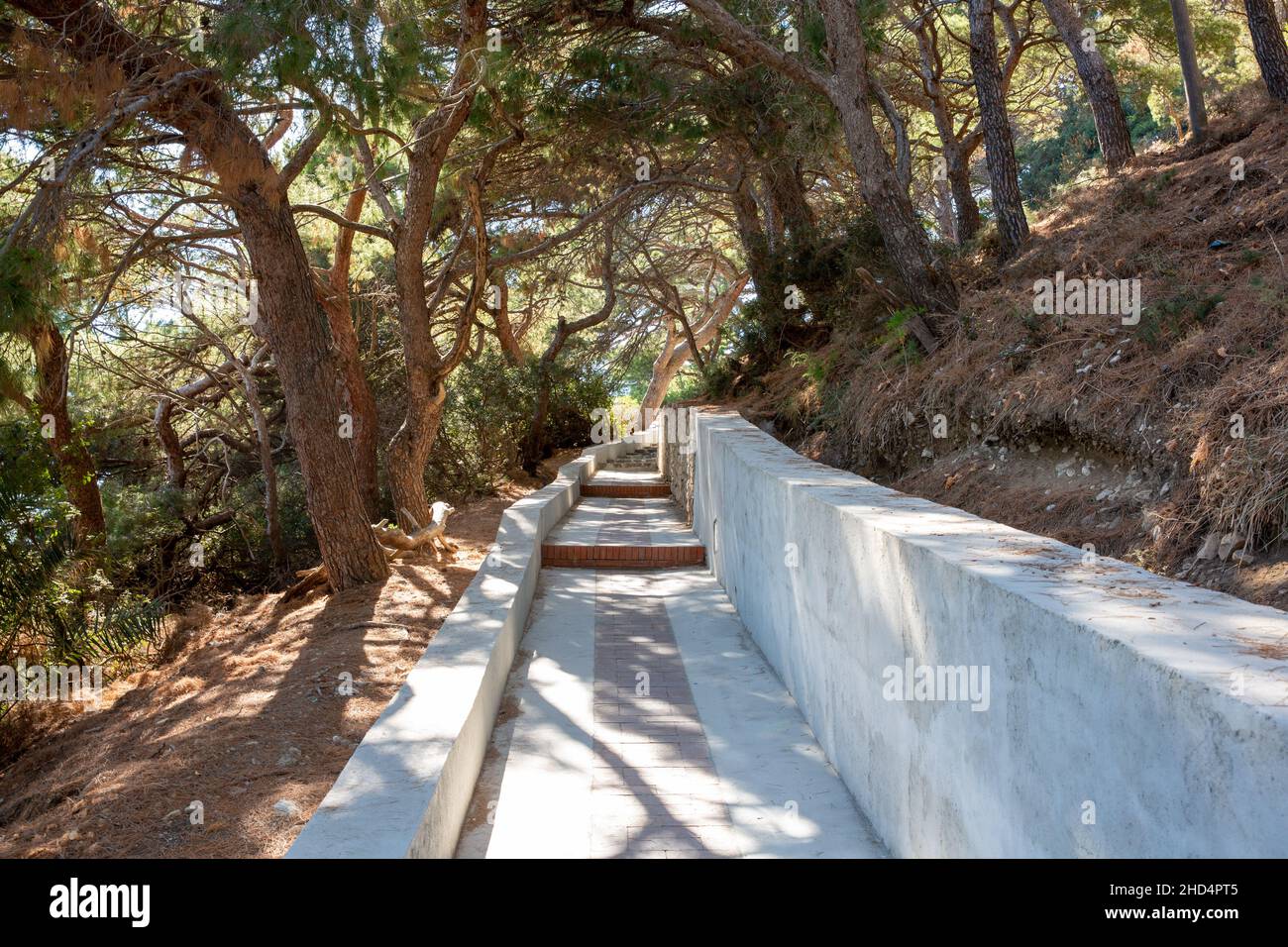 Empty footpath trees in park forest hi-res stock photography and images ...
