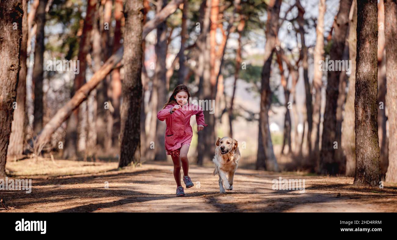 Little girl with golden retriever dog in the wood Stock Photo - Alamy