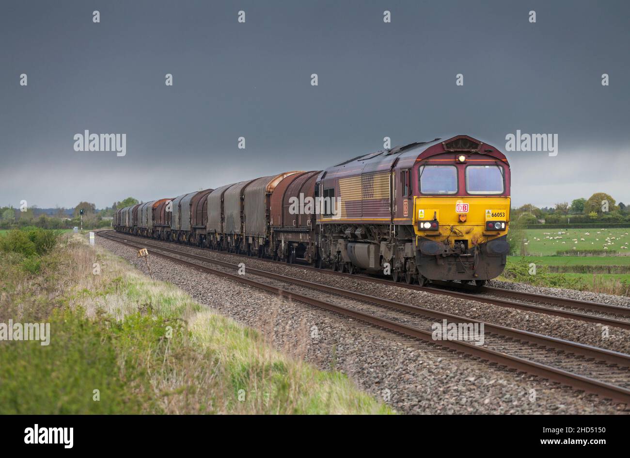 DB Cargo Rail class 66 diesel locomotive 66053 hauling a freight train of steel wagons through the English countryside Stock Photo