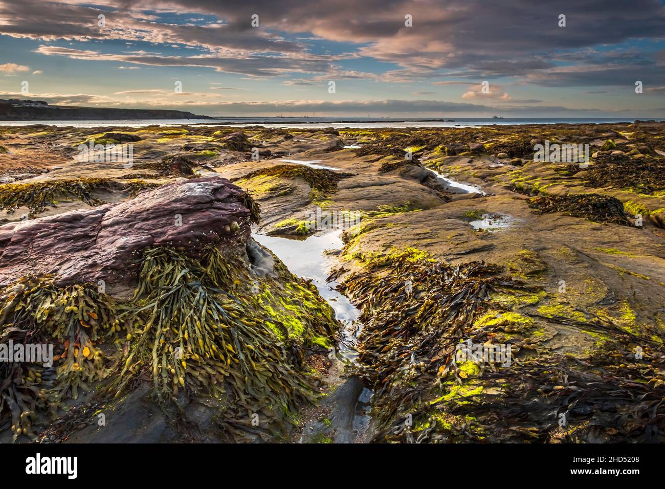 Shapes formed in the rocks at St Marys island near Whitley Bay. Stock Photo