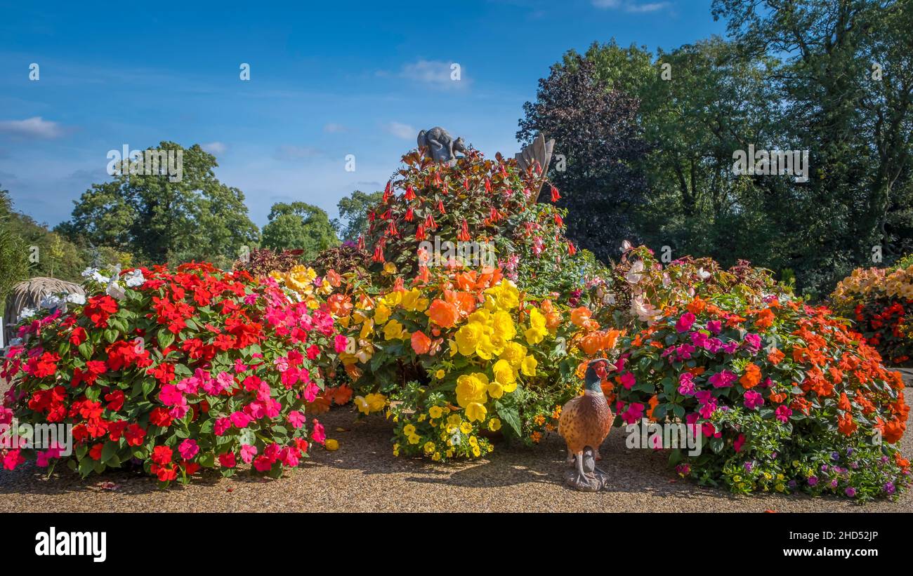 Beautiful flower tubs in a large garden. Stock Photo