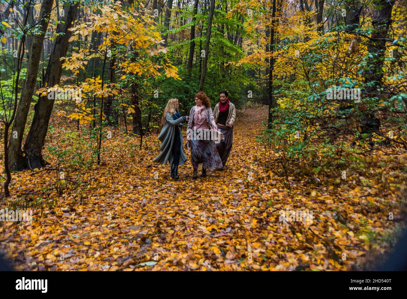 Women walking in the woods talking Stock Photo