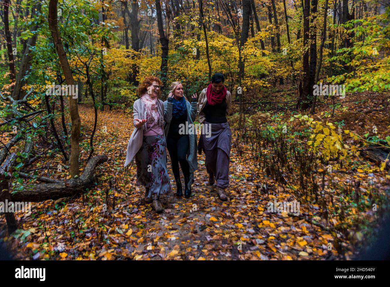 Women walking in the woods talking Stock Photo