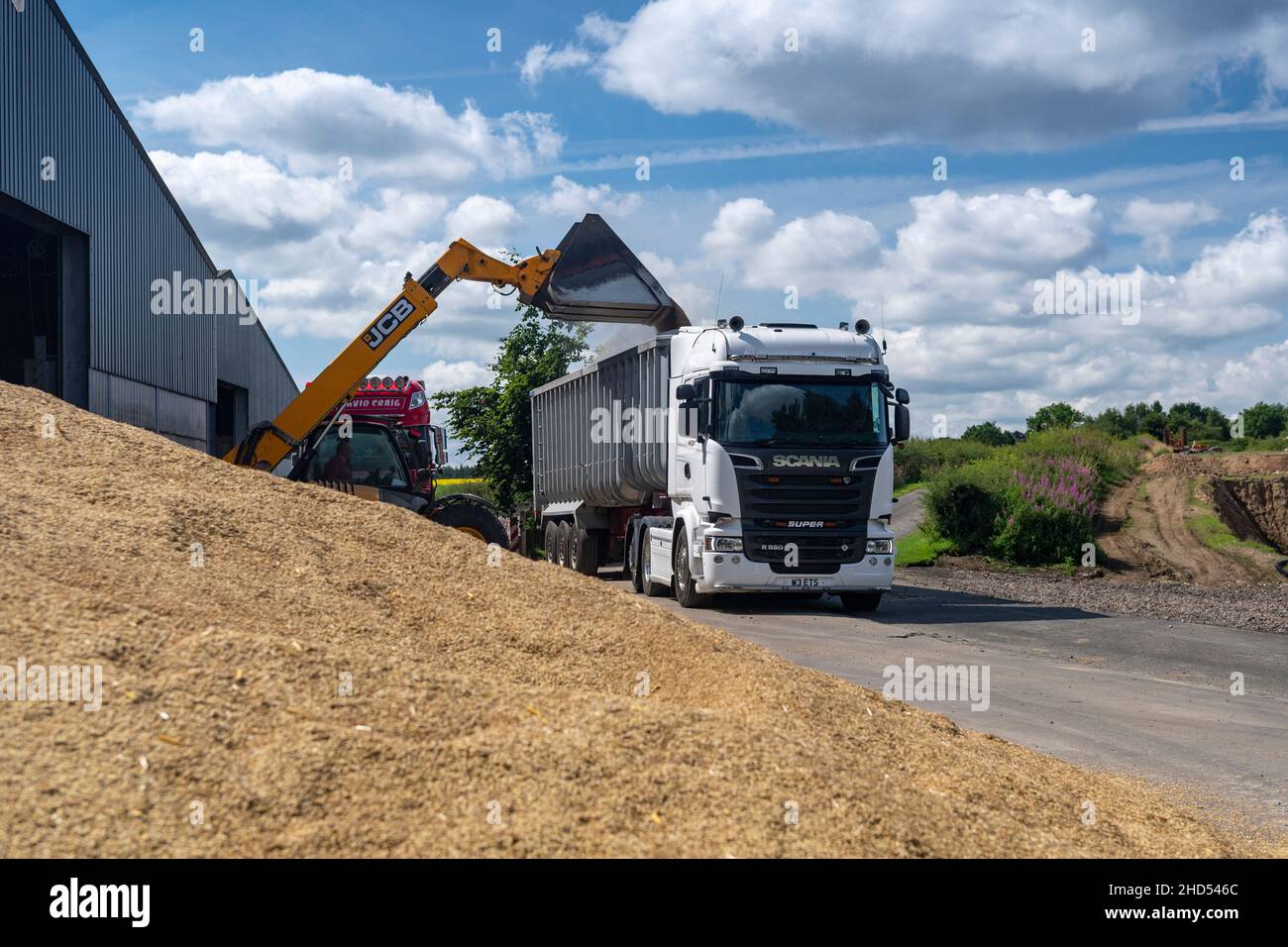 Loading wheat into lorry trailer. Stock Photo