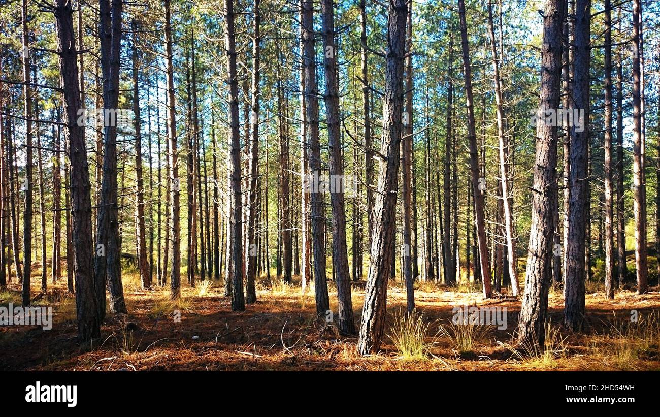 Horizontal image wide shot hi-res stock photography and images - Alamy