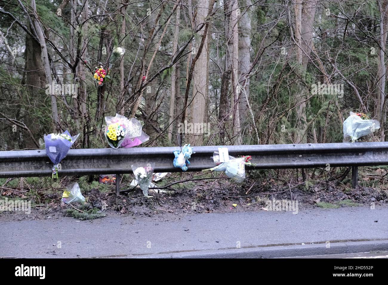 Galashiels, UK. 03rd Jan, 2022. Floral Tributes for Mason MacKenzie and messages left at the side of the A7, after a crash on 27 December 2021 Road Policing officers in the Scottish Borders are appealing for witnesses following a fatal road crash near Galashiels. The incident happened on the A7 approximately half a mile north of Galashiels, involving a red Seat Ibiza and a black Seat Ibiza around 9.10 pm on Monday, 27 December 2021. Credit: Rob Gray/Alamy Live News Stock Photo