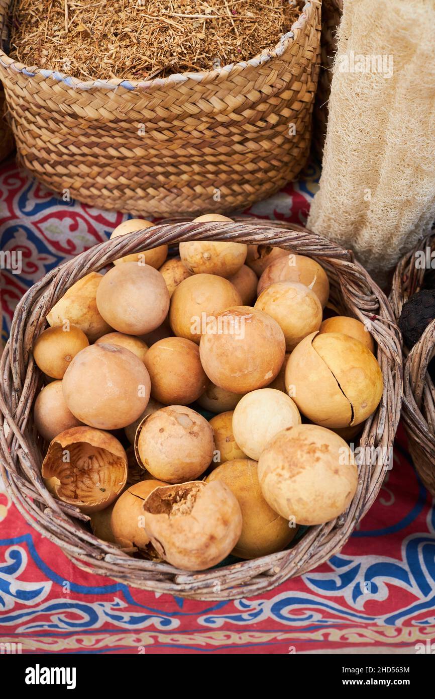 Citrullus Colocynthis (also know as Tumma, Desert Gourd) is a herbal fruit in the basket. Stock Photo