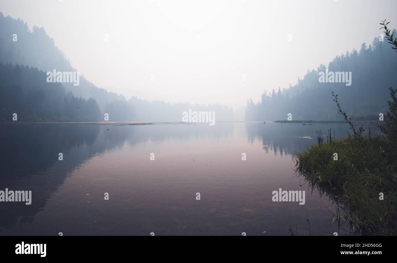 River leading into the pacific northwest Stock Photo - Alamy