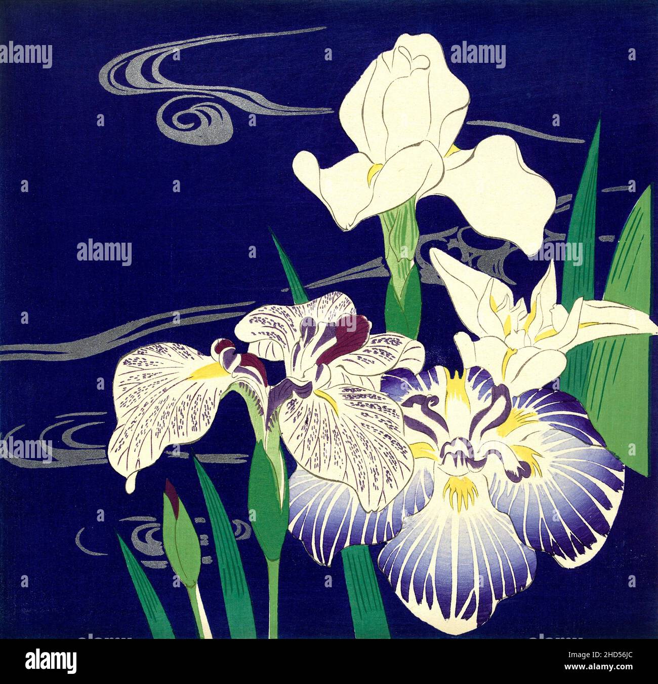 Irises by the Japanese artist, Kōgyo Tsukioka (1869-1927), color woodcut, c. 1890-1900 Stock Photo