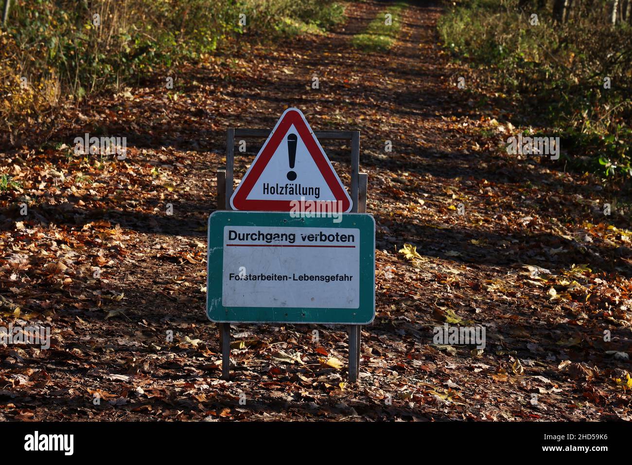 Forest. Text in German: Logging. Acces denied. Forestry work - danger to life. Stock Photo
