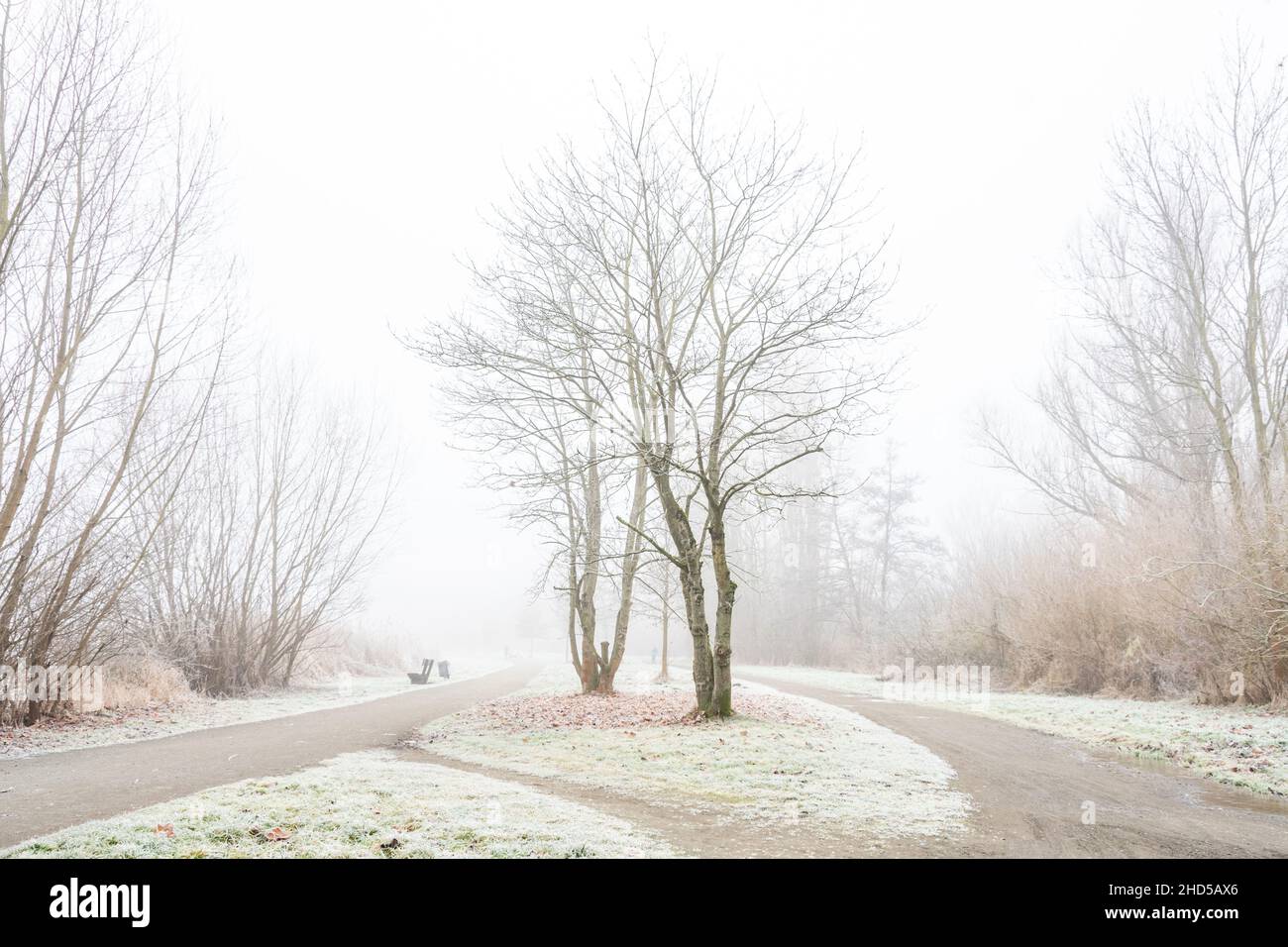 Einsam liegen die Wege im Nebel, Frost liegt auf pflanzen und Wegen nur ganz weit im Nebel ist schemenhaft eine Menschliche Gestallt zu erahnen Stock Photo