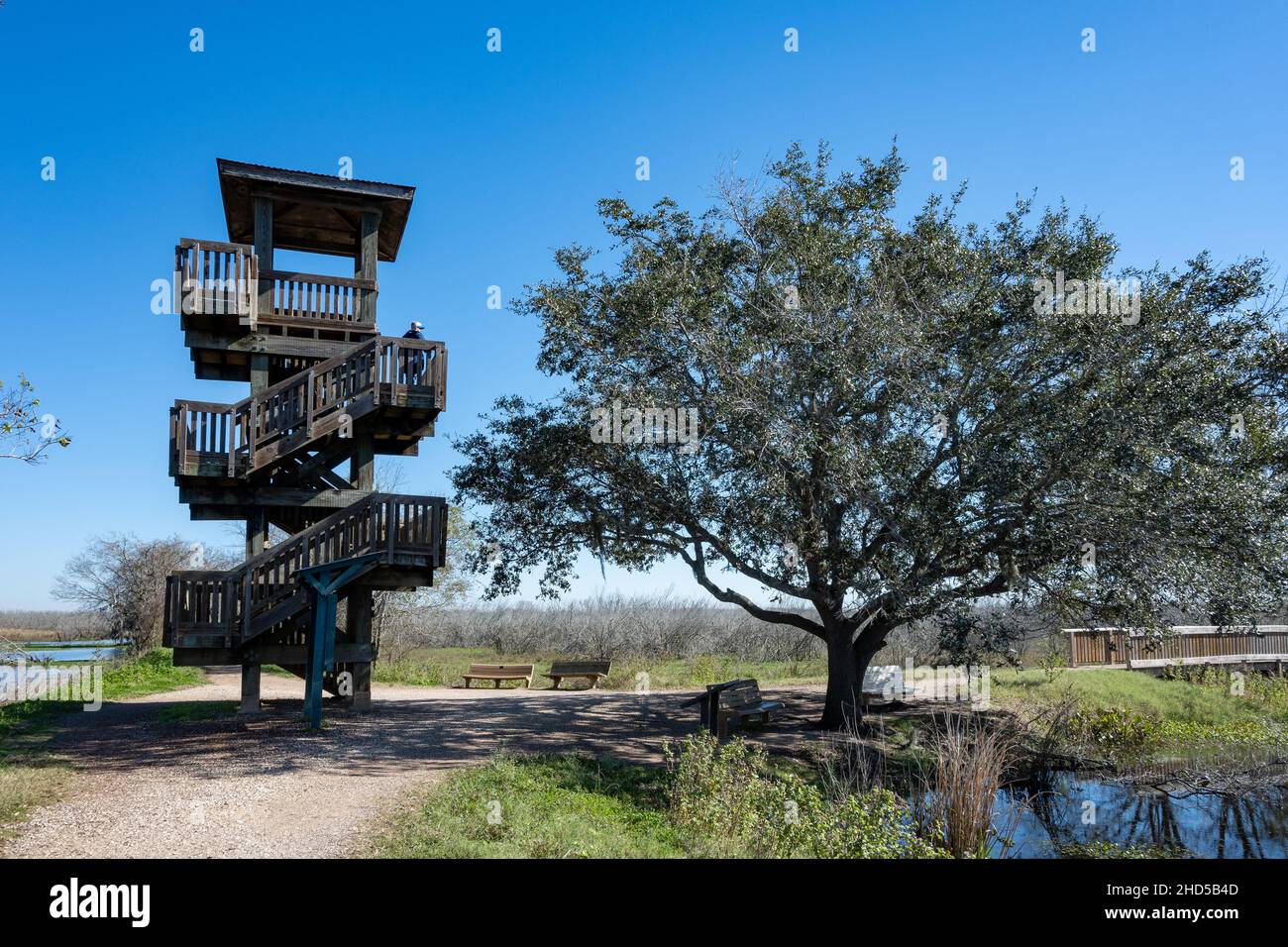 The wooden observation tower at the Brazos Bend State Park. Needville, Texas, USA. Stock Photo