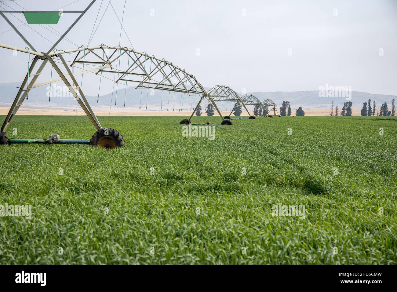 A pivot irrigation system standing in a field of green crops. Taken in