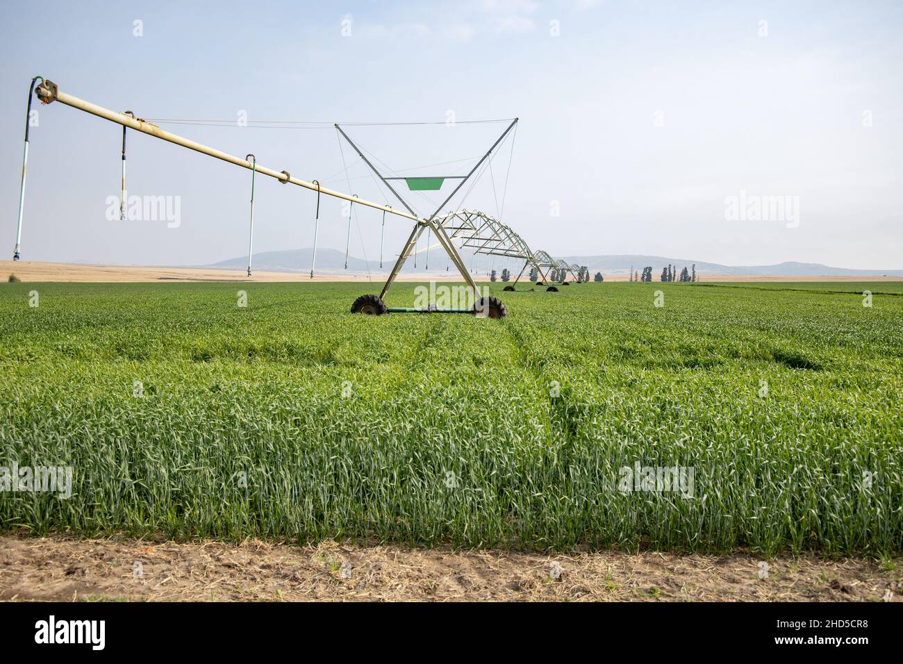 A pivot irrigation system standing in a field of green crops. Taken in