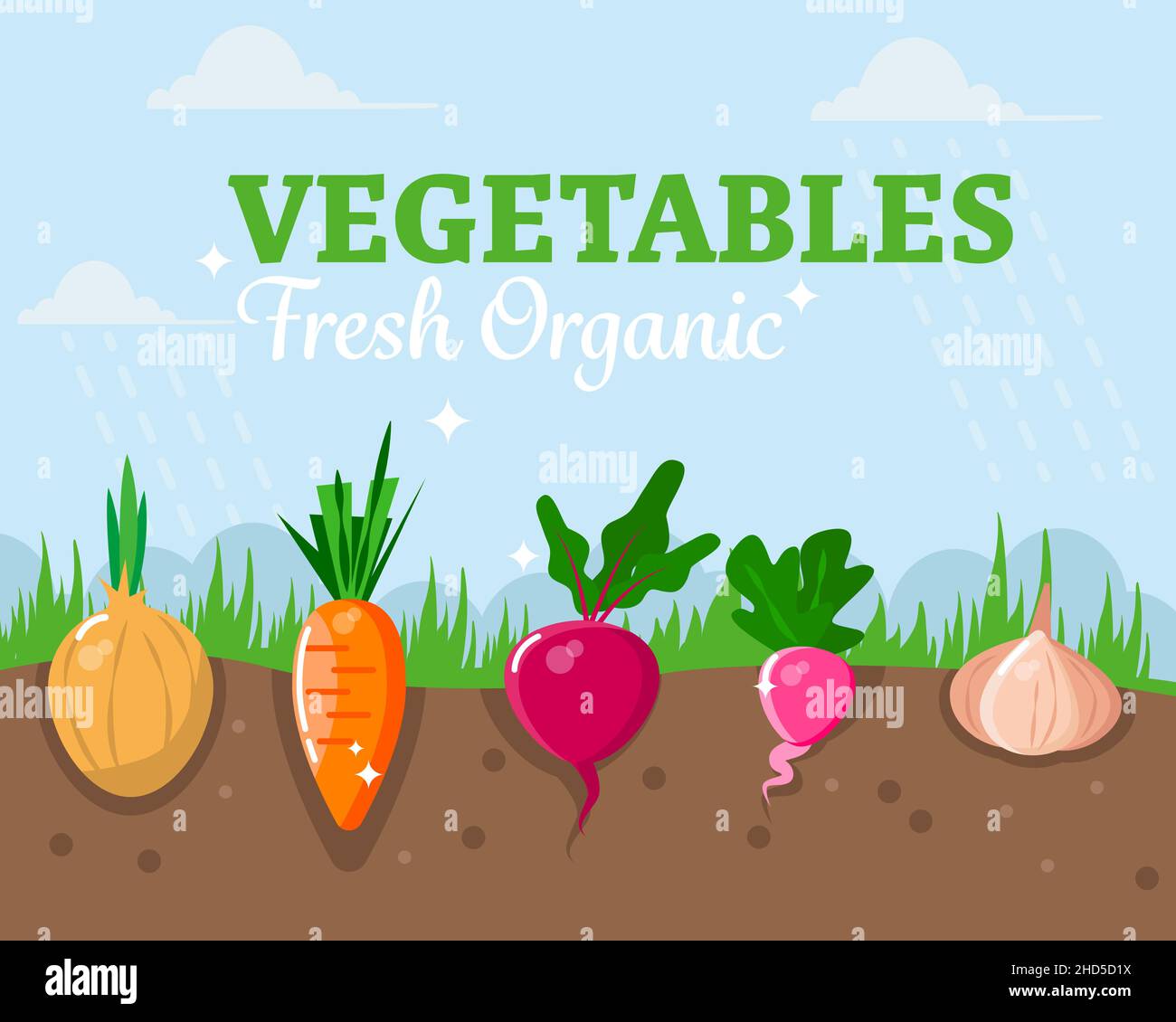 Eco-friendly vegetables in the garden. Healthy food and farm products concept. Vector illustration. Stock Vector
