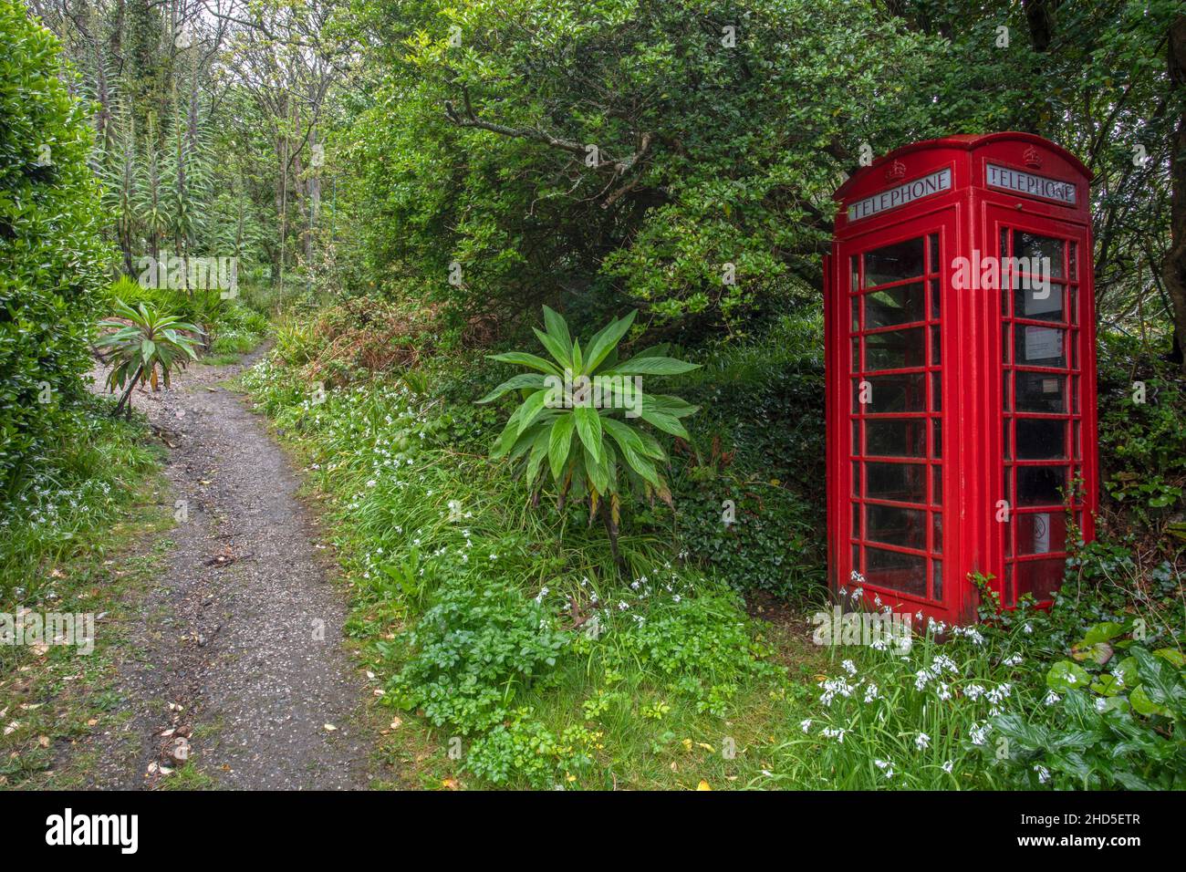 A red telephone box by a path. Stock Photo