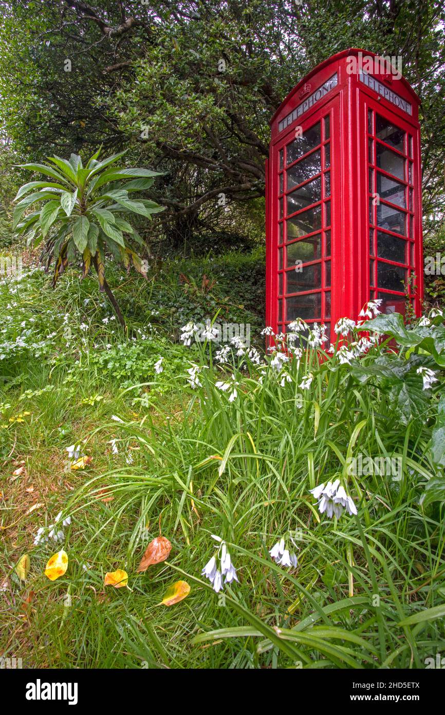 A red telephone box surrounded by spring flowers. Stock Photo