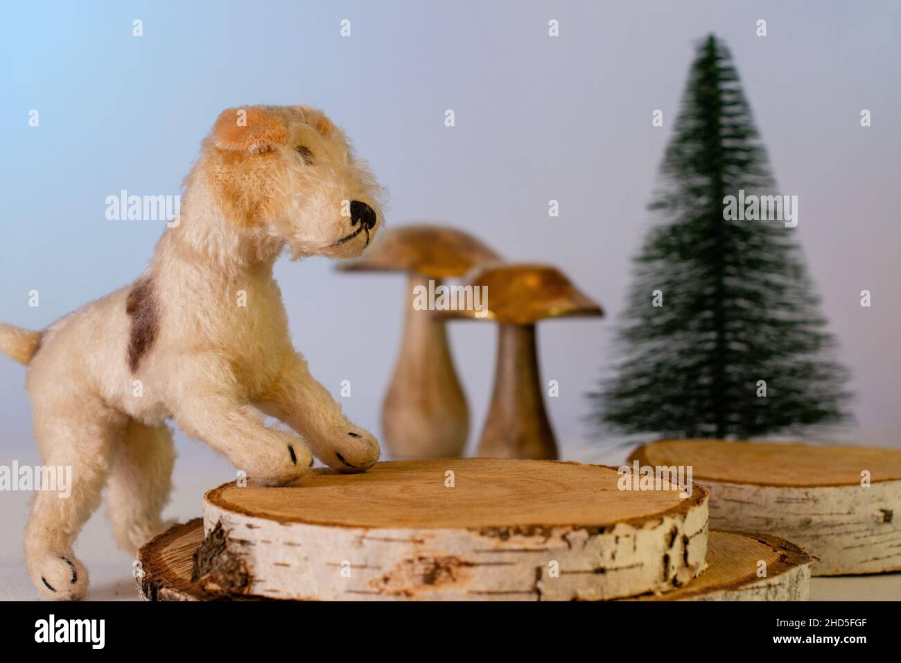 Dog Plushdog with golden mushroom Stock Photo