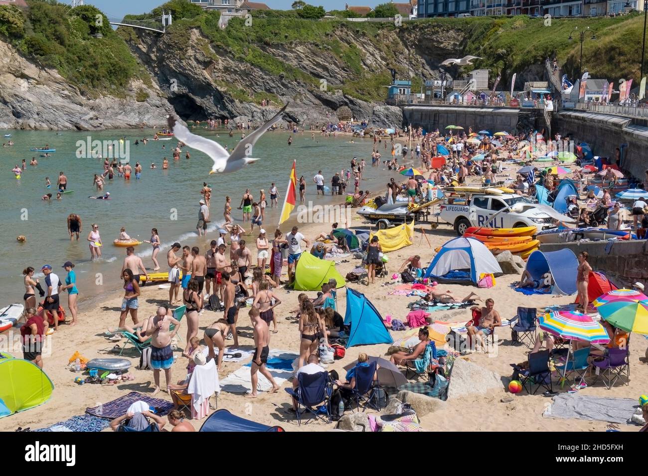 Towan Beach crowded with summer holidaymakers in Newquay in Cornwall. Stock Photo
