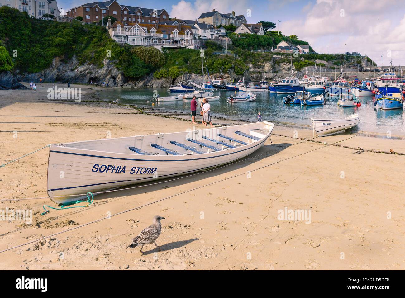 Traditional Cornish pilot gigs Sophia Storm and Concord beached on the beach in the historic picturesque working Newquay Harbour in Newquay in Cornwall. Stock Photo