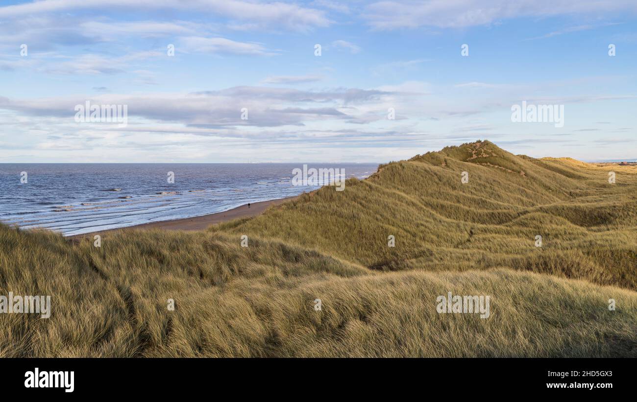 Golden winter sunlight falls on the Marram grass on the sand dunes at Formby near Liverpool. Stock Photo