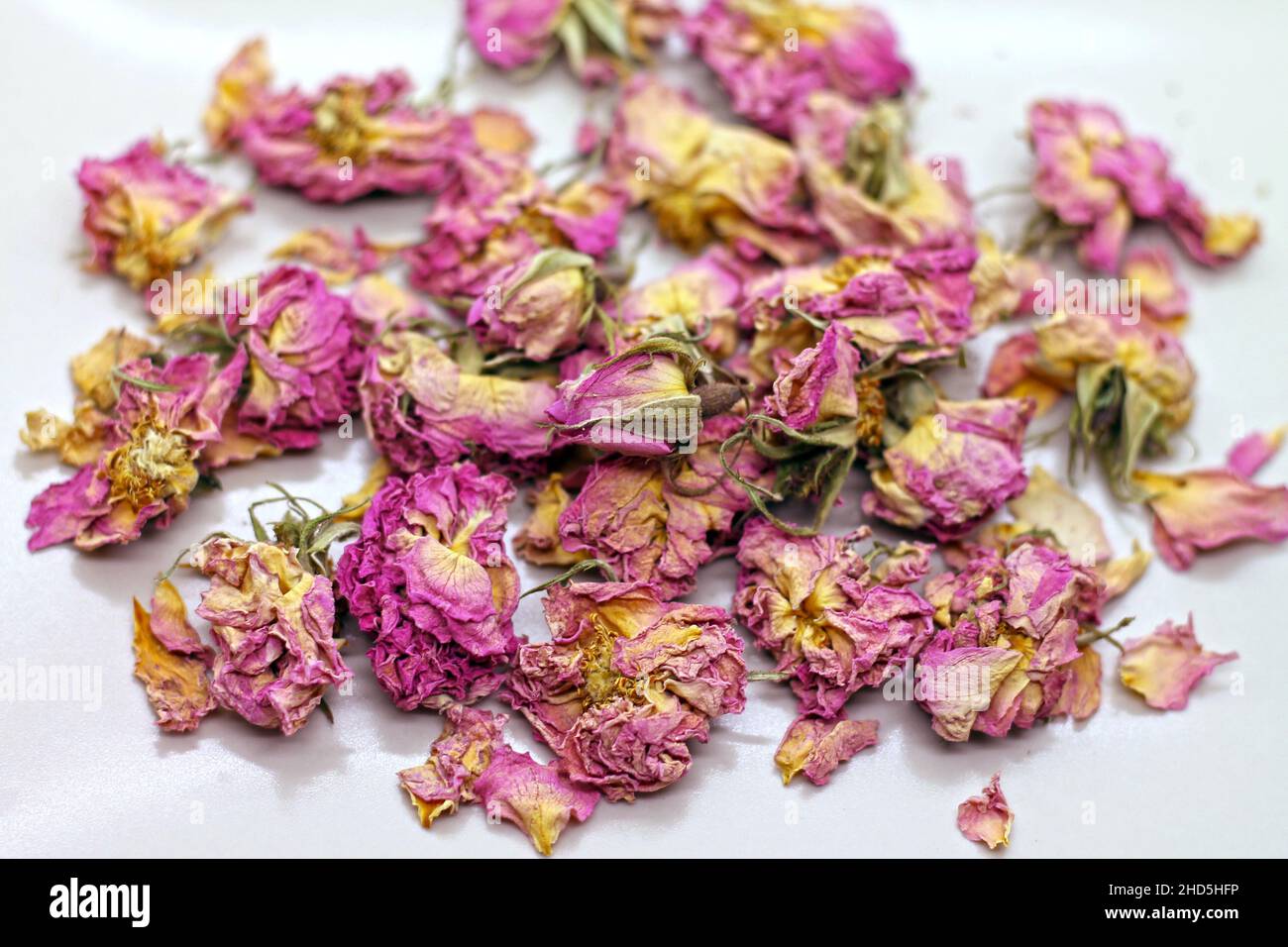 Dry rose buds tea on white background. Selektive focus. Stock Photo