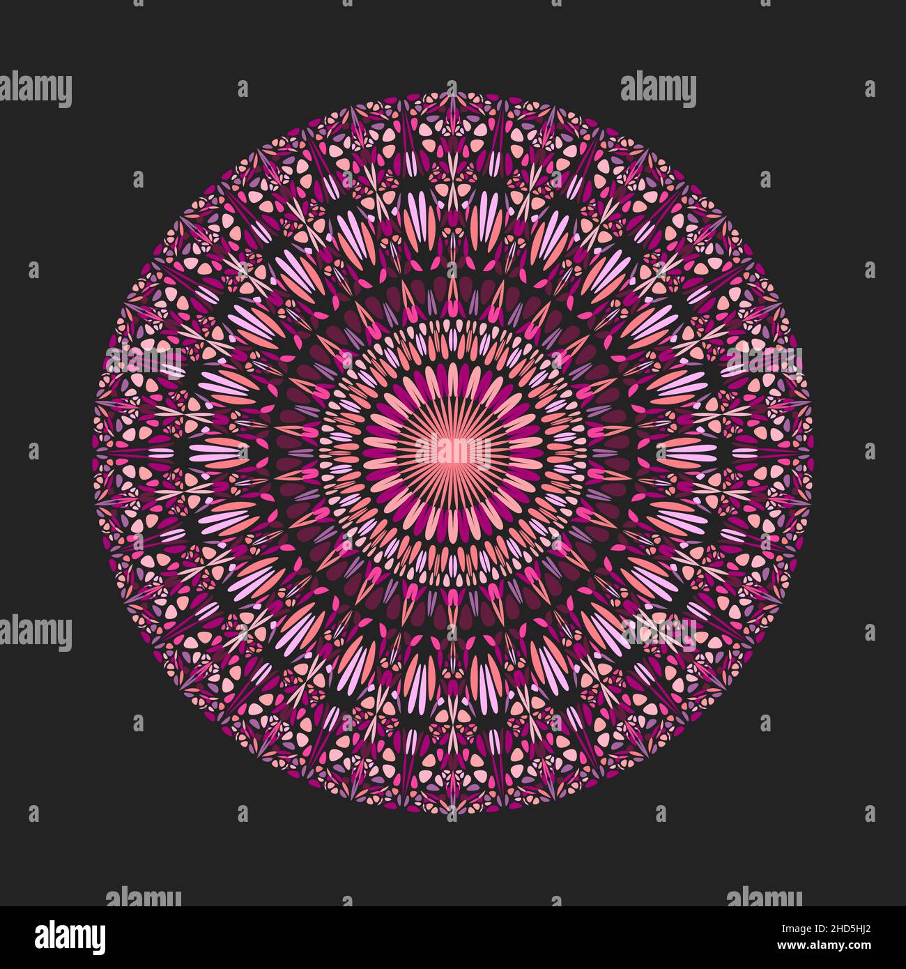 Geometrical colorful abstract round botanical pattern mandala Stock Vector
