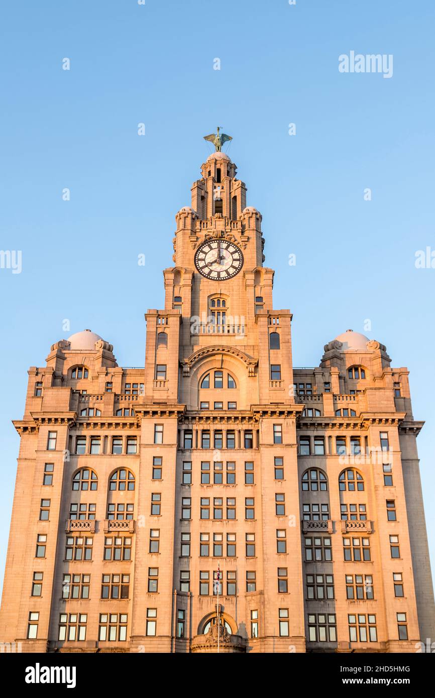 Royal Liver Building on the Liverpool waterfront before sunset. Stock Photo