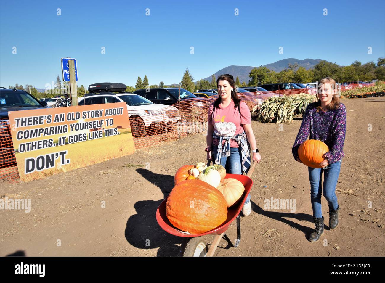 Halloween pumpkin picking and buying for celebrating and display at