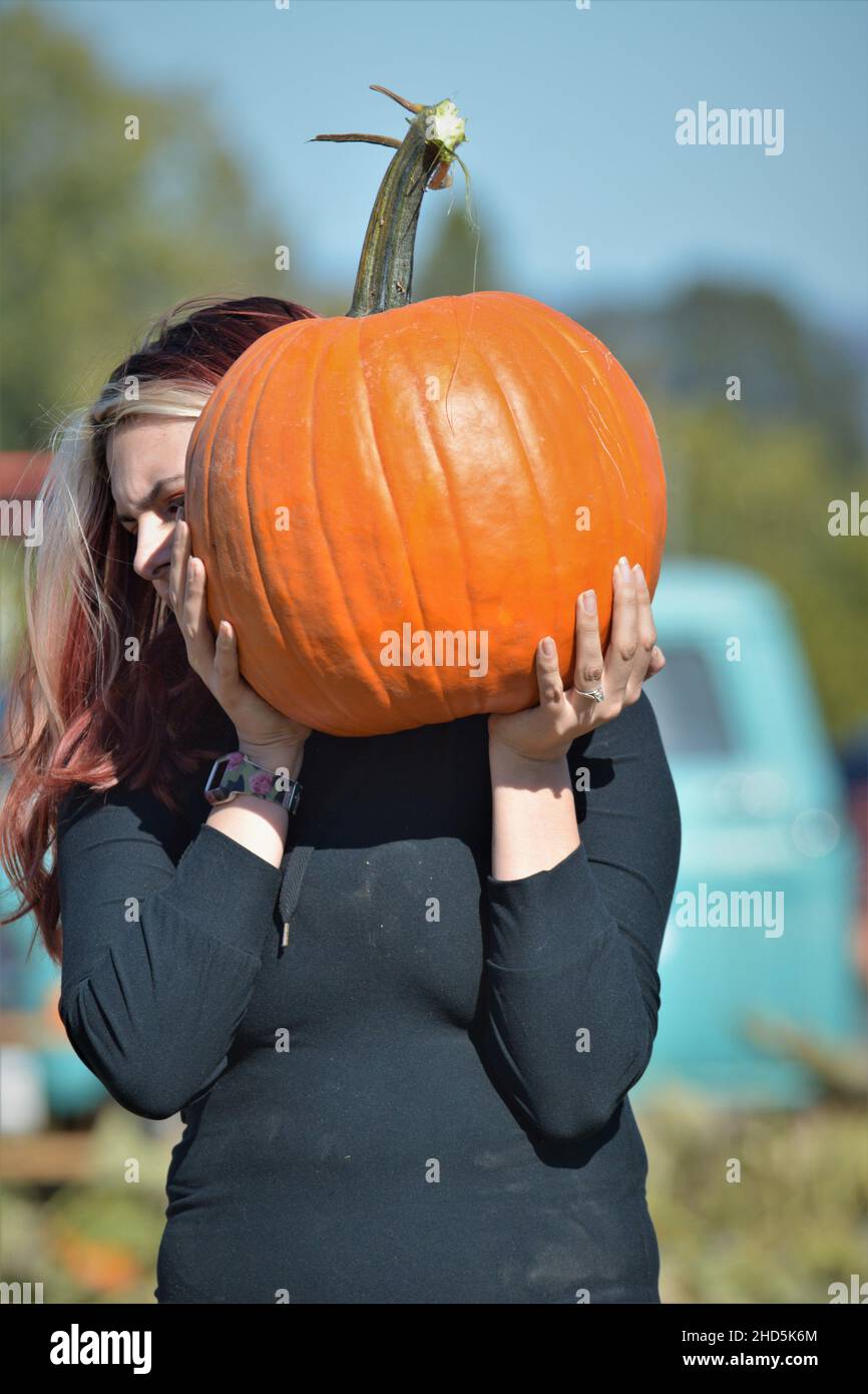 Halloween pumpkin picking and buying for celebrating and display at